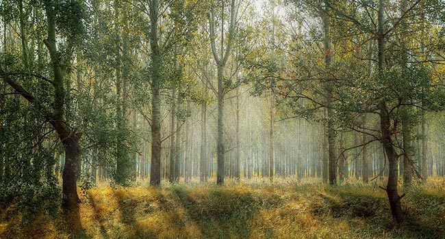 青海中达新能源有限公司简介